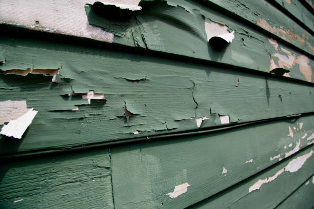 Best Recycling Services for Junk  in Houma, LA