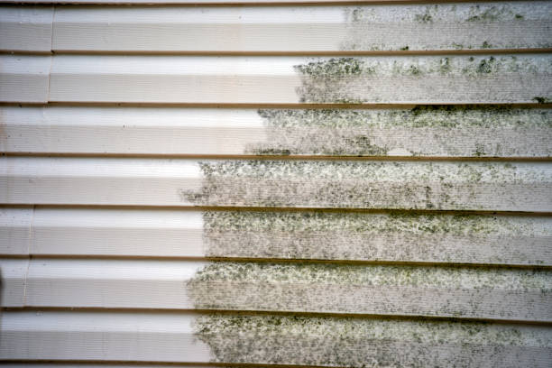 Trusted Houma, LA Junk Removal Experts