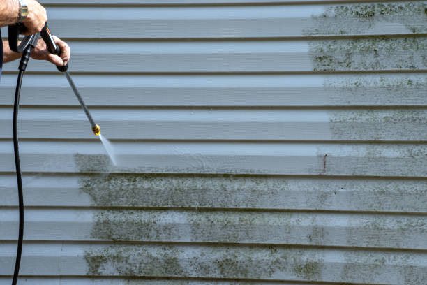 Best Yard Waste Removal  in Houma, LA