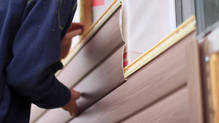 Best Moving and Downsizing Cleanouts  in Houma, LA
